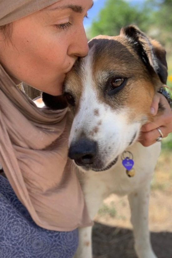 Dog Training South Jordan